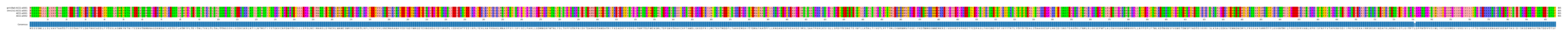 Multiple Alignments (by translate haplotype similarity)