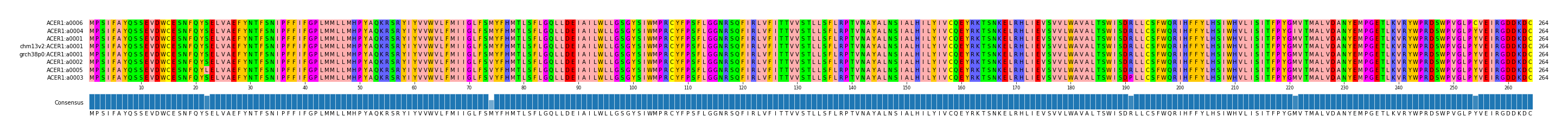 Multiple Alignments (by translate haplotype similarity)