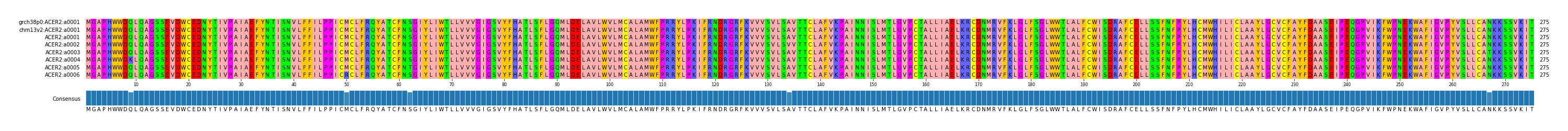 Multiple Alignments (by translate haplotype frequency)