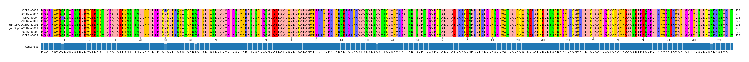 Multiple Alignments (by translate haplotype similarity)