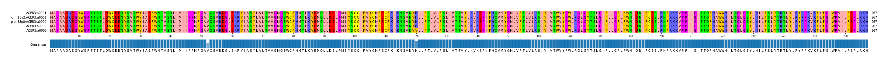 Multiple Alignments (by translate haplotype similarity)