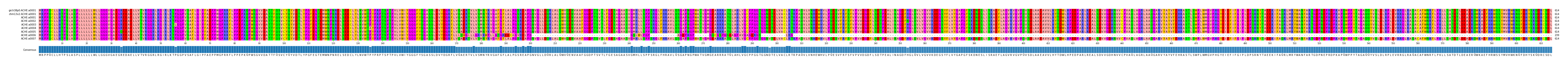 Multiple Alignments (by translate haplotype frequency)