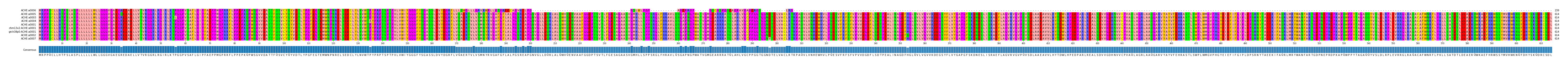 Multiple Alignments (by translate haplotype similarity)