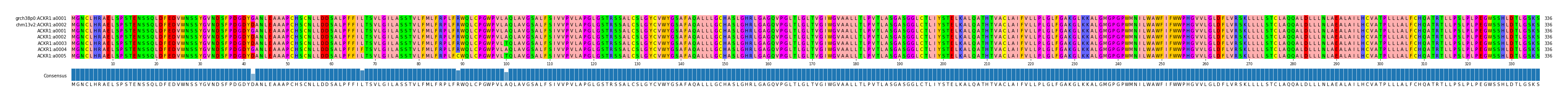 Multiple Alignments (by translate haplotype frequency)