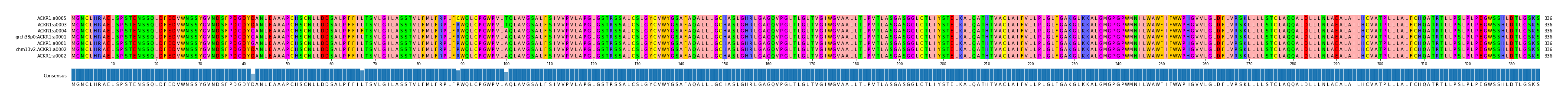 Multiple Alignments (by translate haplotype similarity)