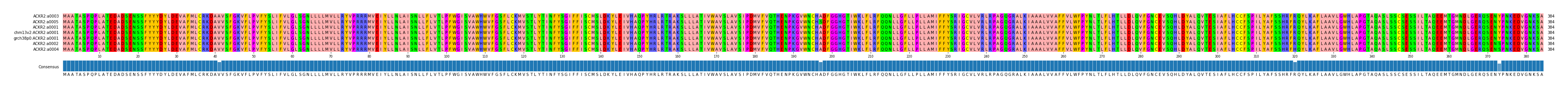 Multiple Alignments (by translate haplotype similarity)