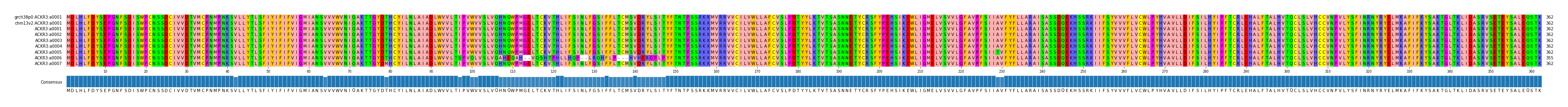 Multiple Alignments (by translate haplotype frequency)