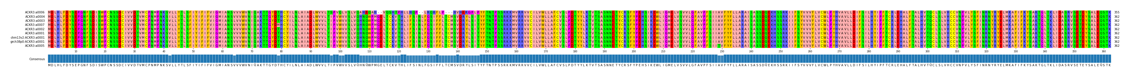 Multiple Alignments (by translate haplotype similarity)