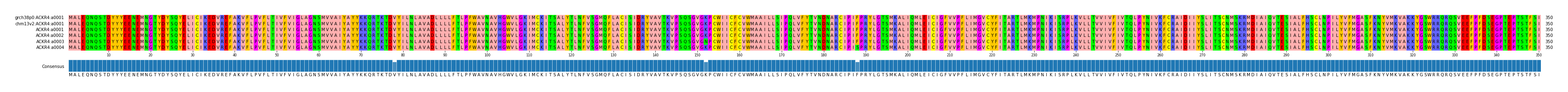 Multiple Alignments (by translate haplotype frequency)