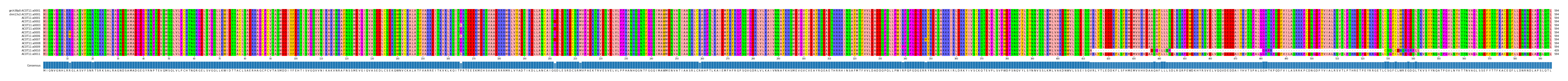 Multiple Alignments (by translate haplotype frequency)