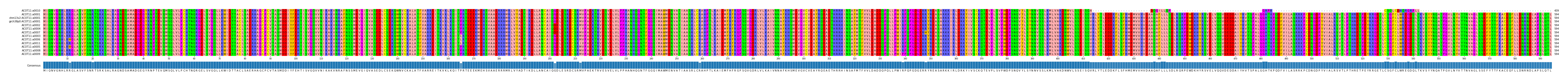 Multiple Alignments (by translate haplotype similarity)