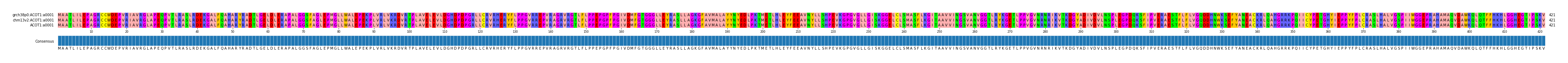 Multiple Alignments (by translate haplotype similarity)