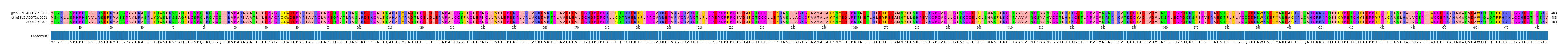 Multiple Alignments (by translate haplotype similarity)