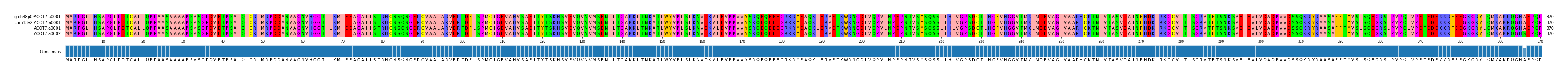 Multiple Alignments (by translate haplotype similarity)