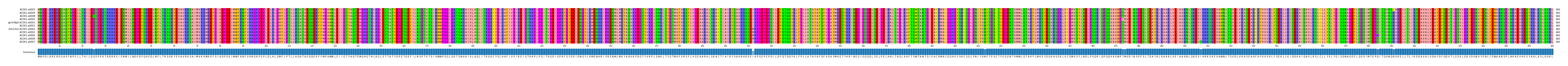 Multiple Alignments (by translate haplotype similarity)
