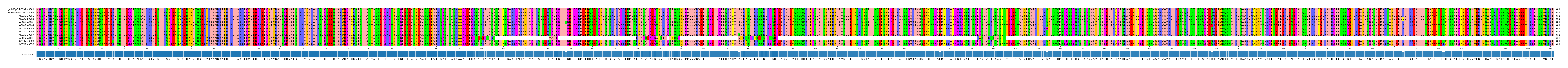Multiple Alignments (by translate haplotype frequency)