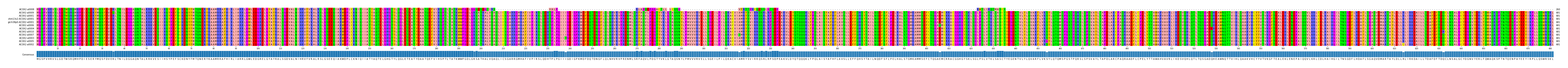 Multiple Alignments (by translate haplotype similarity)