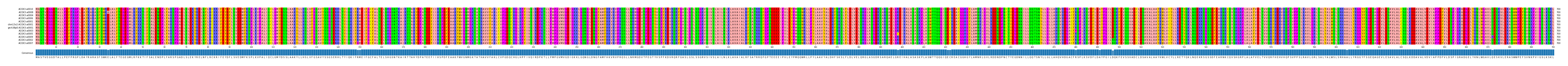 Multiple Alignments (by translate haplotype similarity)