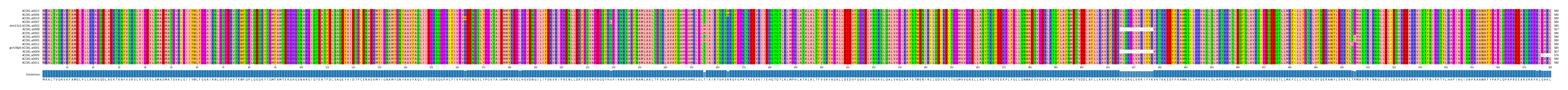 Multiple Alignments (by translate haplotype similarity)