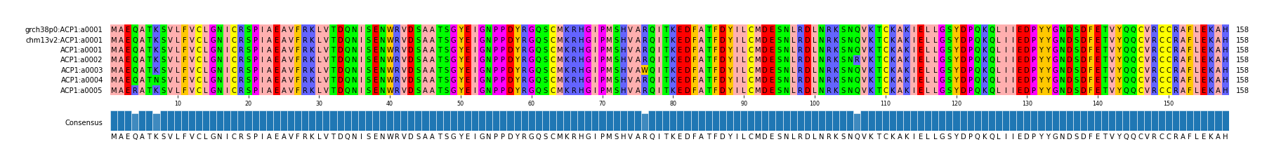 Multiple Alignments (by translate haplotype frequency)