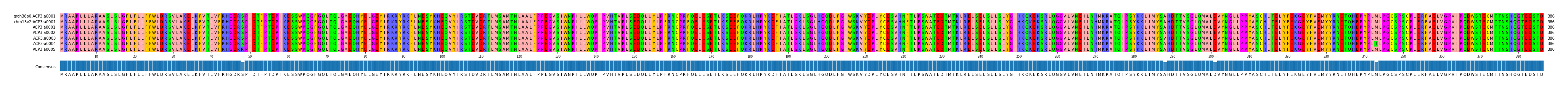 Multiple Alignments (by translate haplotype frequency)