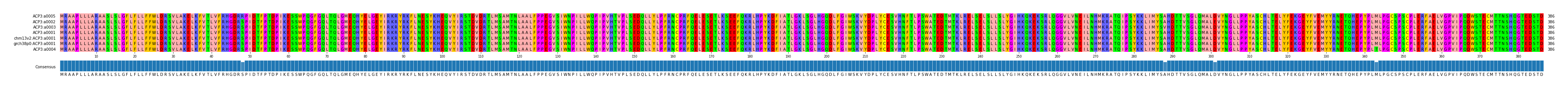 Multiple Alignments (by translate haplotype similarity)
