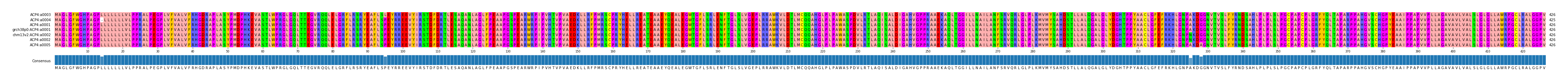 Multiple Alignments (by translate haplotype similarity)