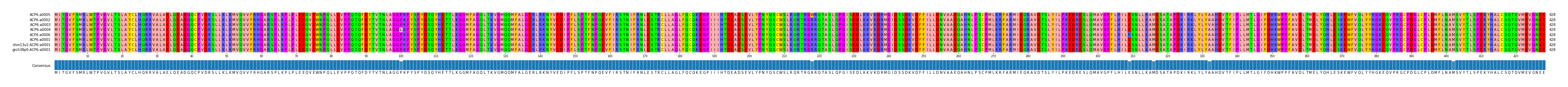 Multiple Alignments (by translate haplotype similarity)