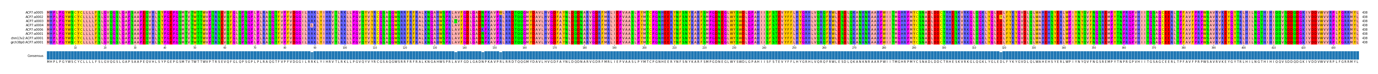 Multiple Alignments (by translate haplotype similarity)