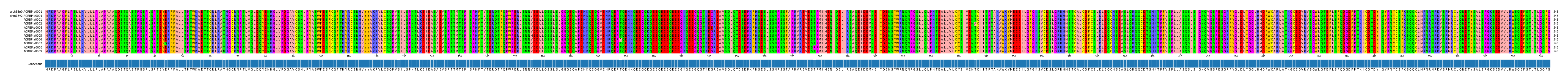 Multiple Alignments (by translate haplotype frequency)