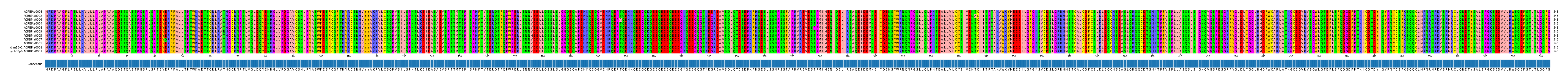 Multiple Alignments (by translate haplotype similarity)