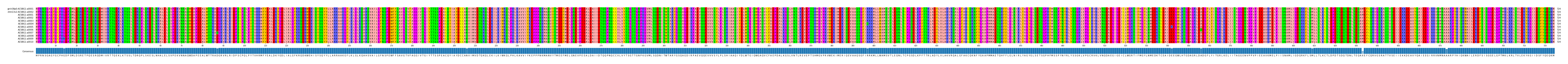Multiple Alignments (by translate haplotype frequency)