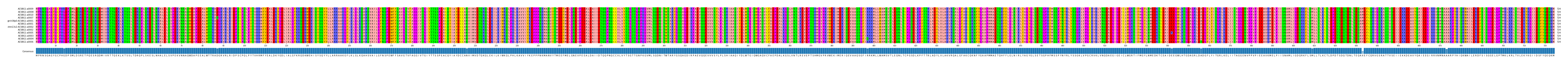 Multiple Alignments (by translate haplotype similarity)