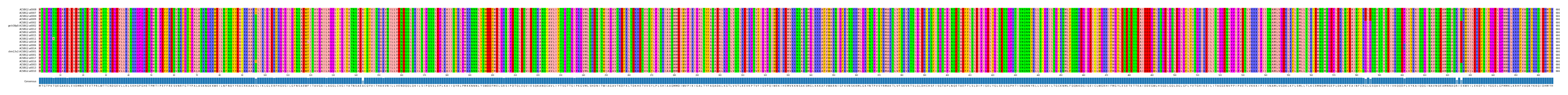 Multiple Alignments (by translate haplotype similarity)