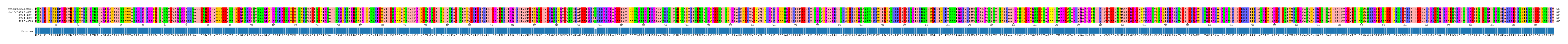 Multiple Alignments (by translate haplotype frequency)