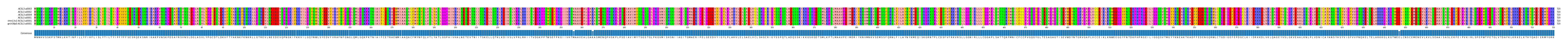 Multiple Alignments (by translate haplotype similarity)