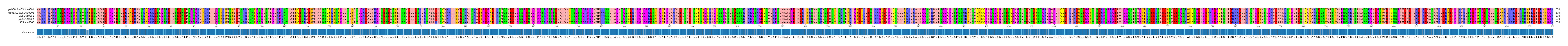 Multiple Alignments (by translate haplotype frequency)
