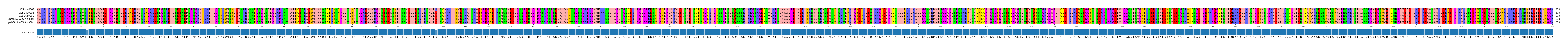 Multiple Alignments (by translate haplotype similarity)