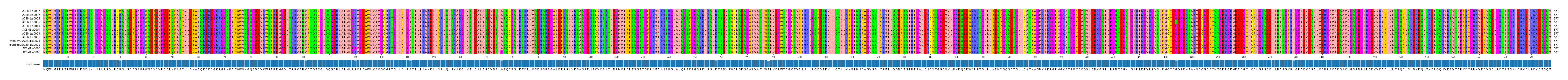 Multiple Alignments (by translate haplotype similarity)