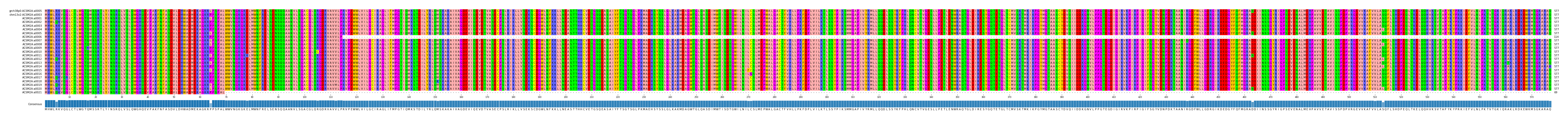 Multiple Alignments (by translate haplotype frequency)