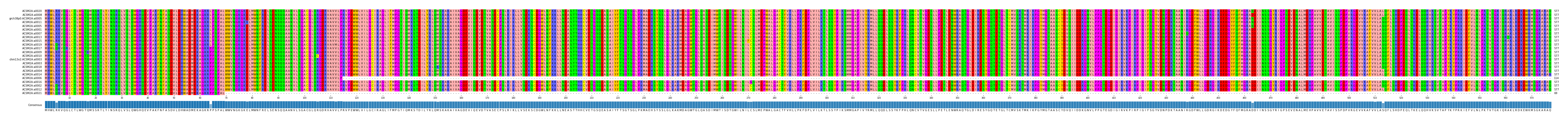 Multiple Alignments (by translate haplotype similarity)