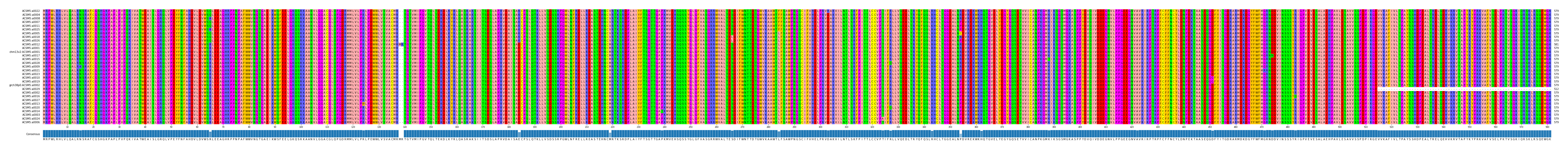 Multiple Alignments (by translate haplotype similarity)