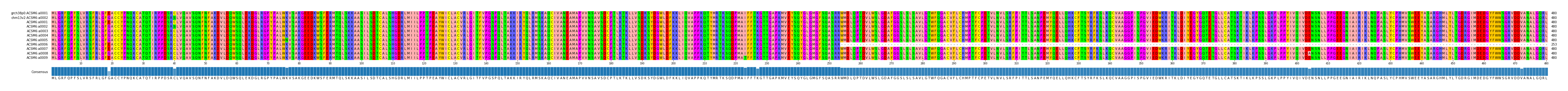 Multiple Alignments (by translate haplotype frequency)