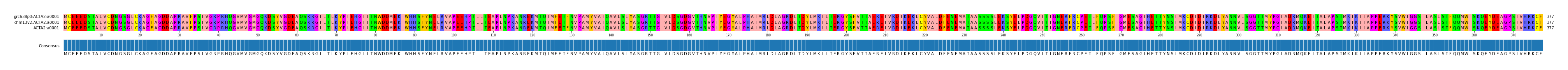 Multiple Alignments (by translate haplotype similarity)