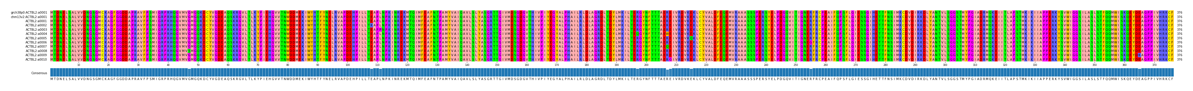 Multiple Alignments (by translate haplotype frequency)