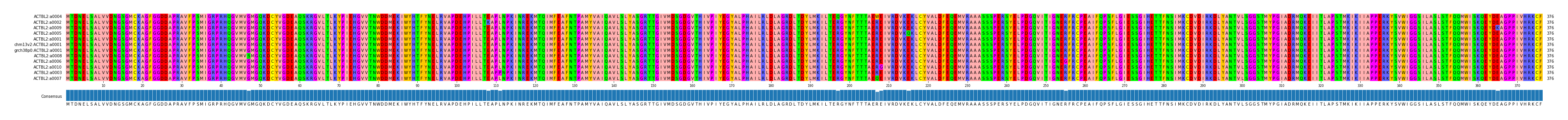 Multiple Alignments (by translate haplotype similarity)