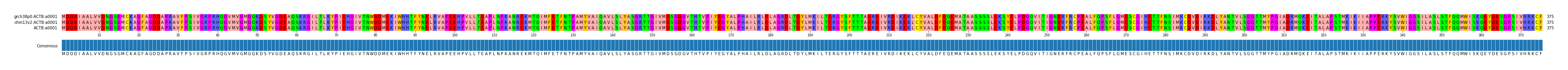 Multiple Alignments (by translate haplotype similarity)
