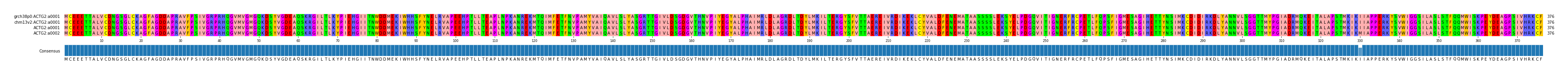 Multiple Alignments (by translate haplotype similarity)