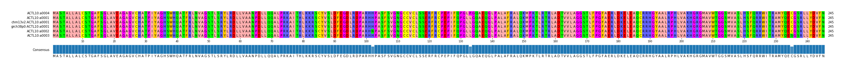 Multiple Alignments (by translate haplotype similarity)