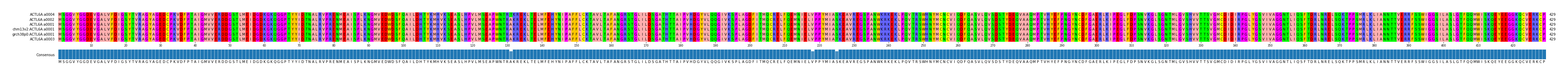 Multiple Alignments (by translate haplotype similarity)